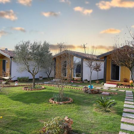 Hotel Villa Linda Shkodër 外观 照片