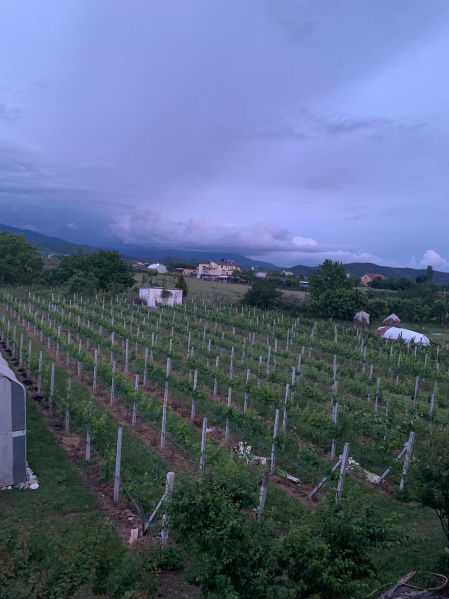 Hotel Villa Linda Shkodër 外观 照片