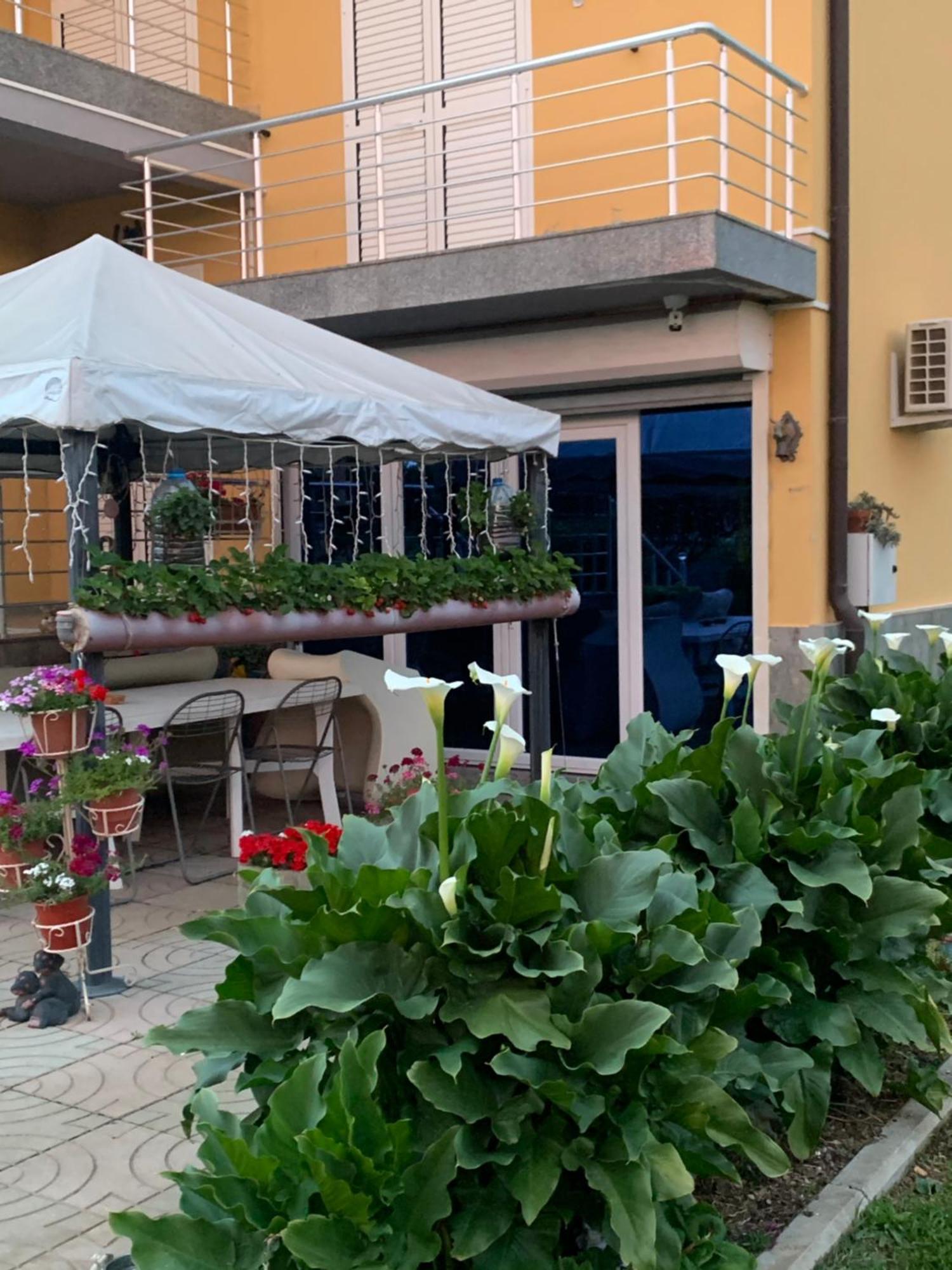 Hotel Villa Linda Shkodër 外观 照片