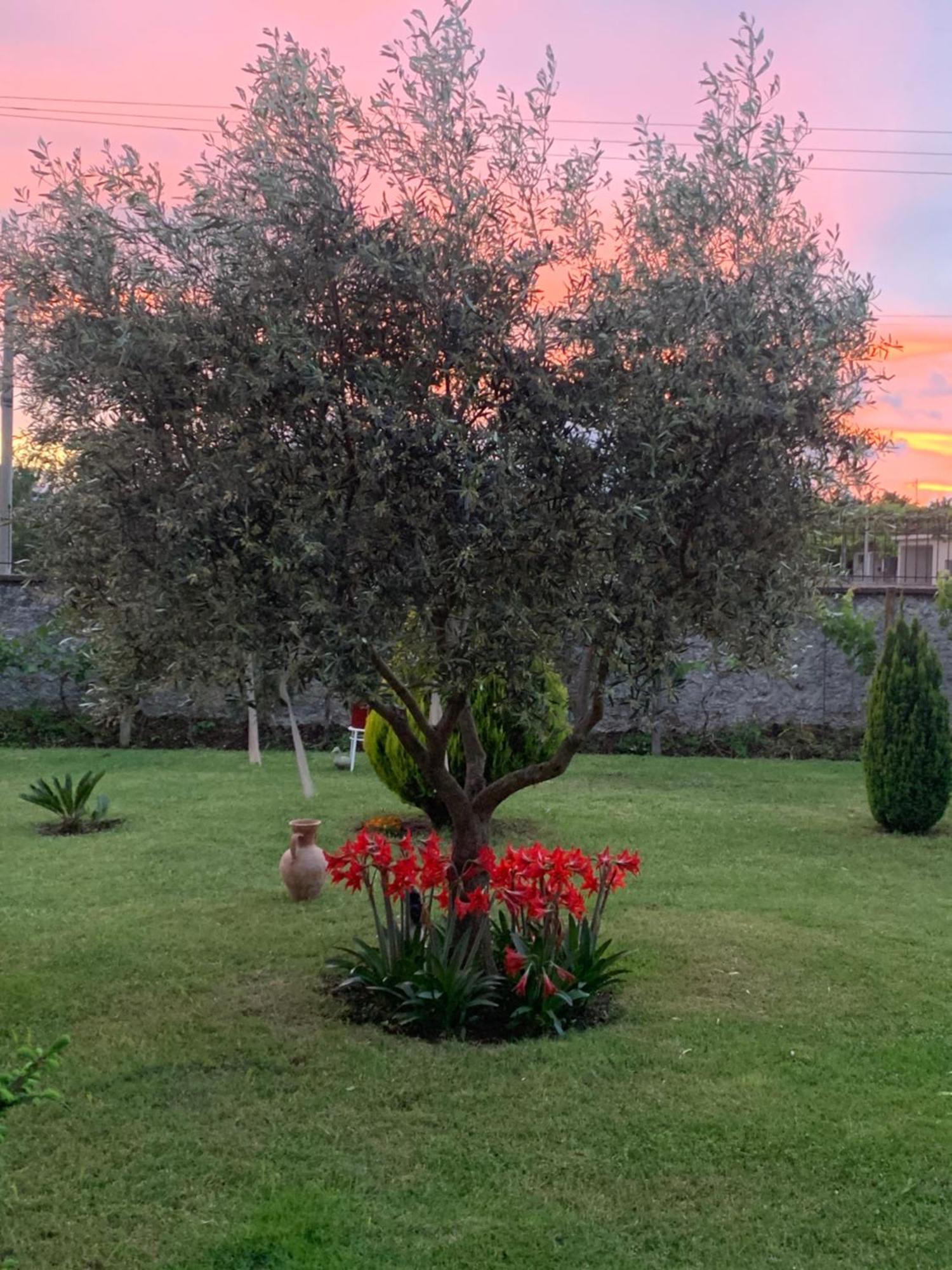 Hotel Villa Linda Shkodër 外观 照片