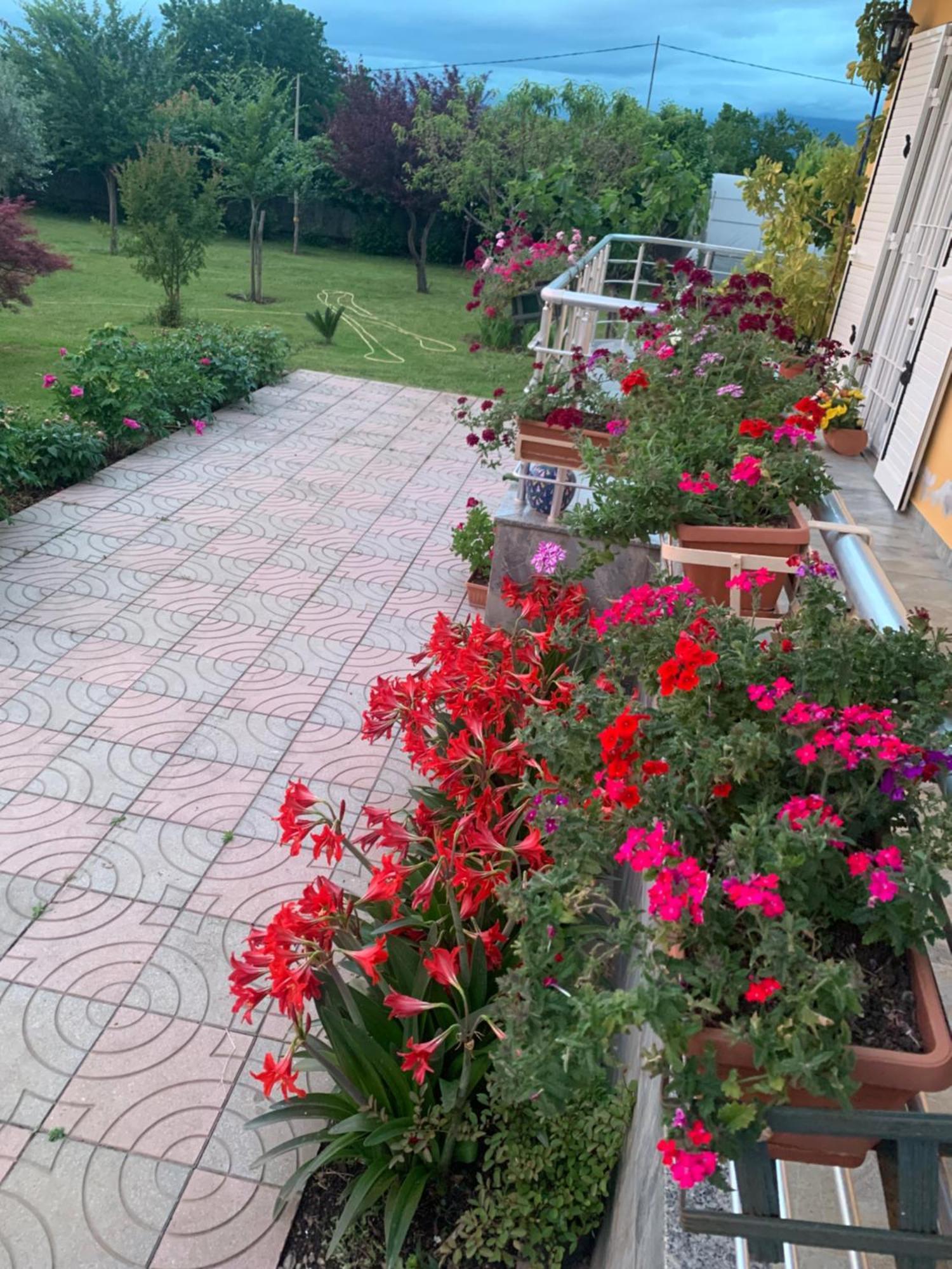 Hotel Villa Linda Shkodër 外观 照片