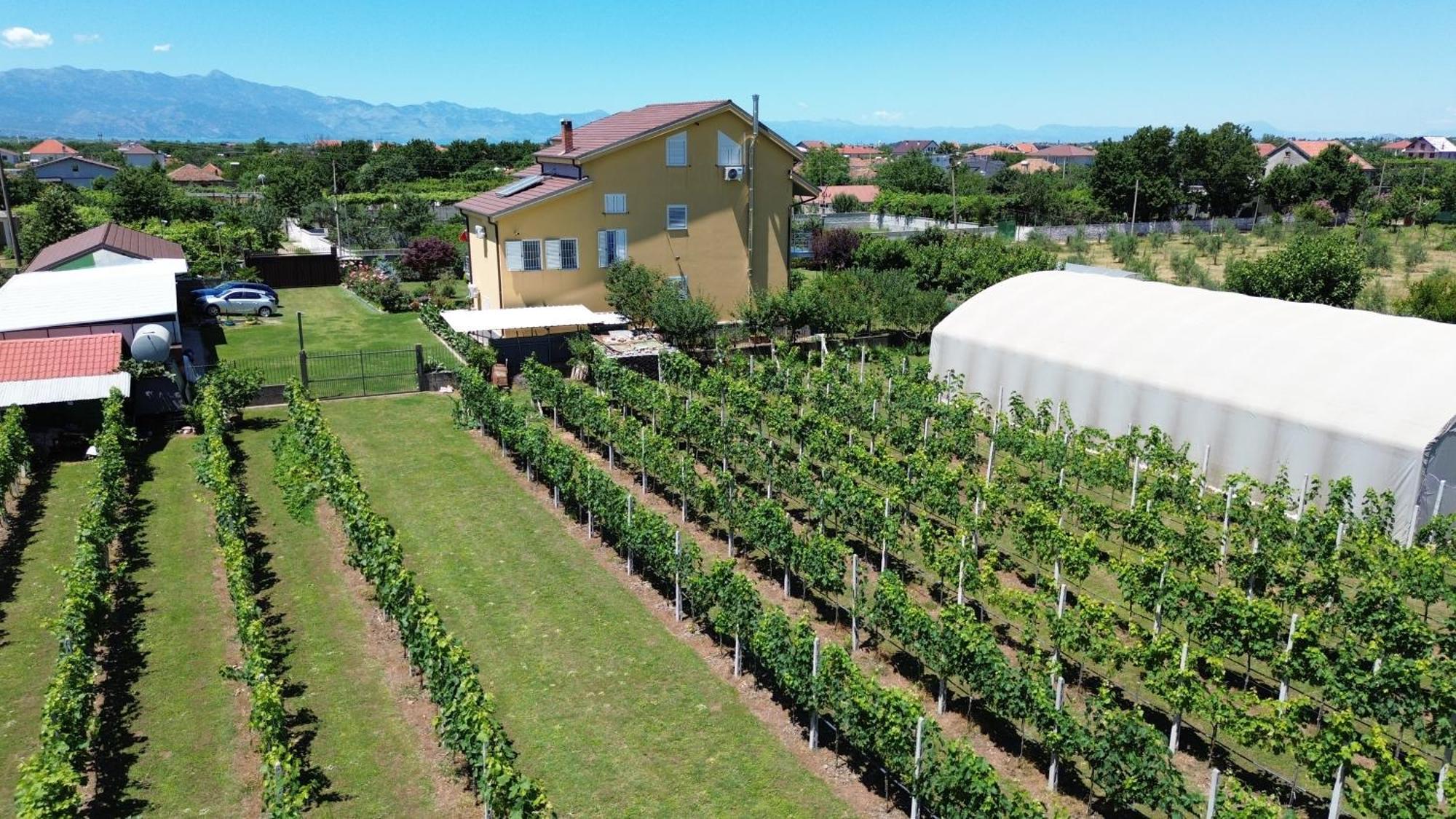 Hotel Villa Linda Shkodër 外观 照片